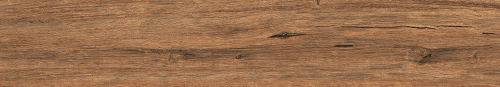 Ghana Walnut