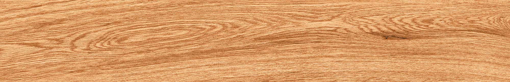 Nicobar Cedar