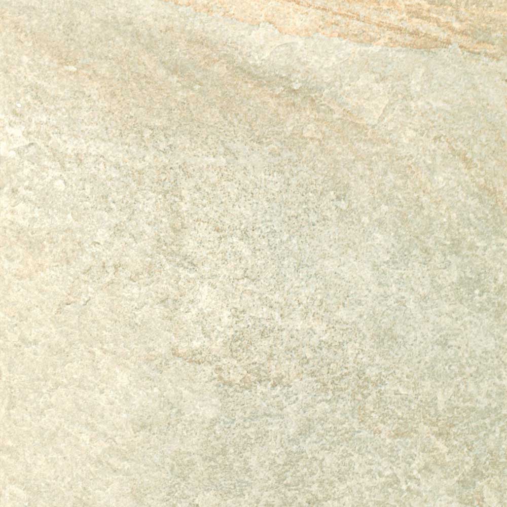 Savanna Light