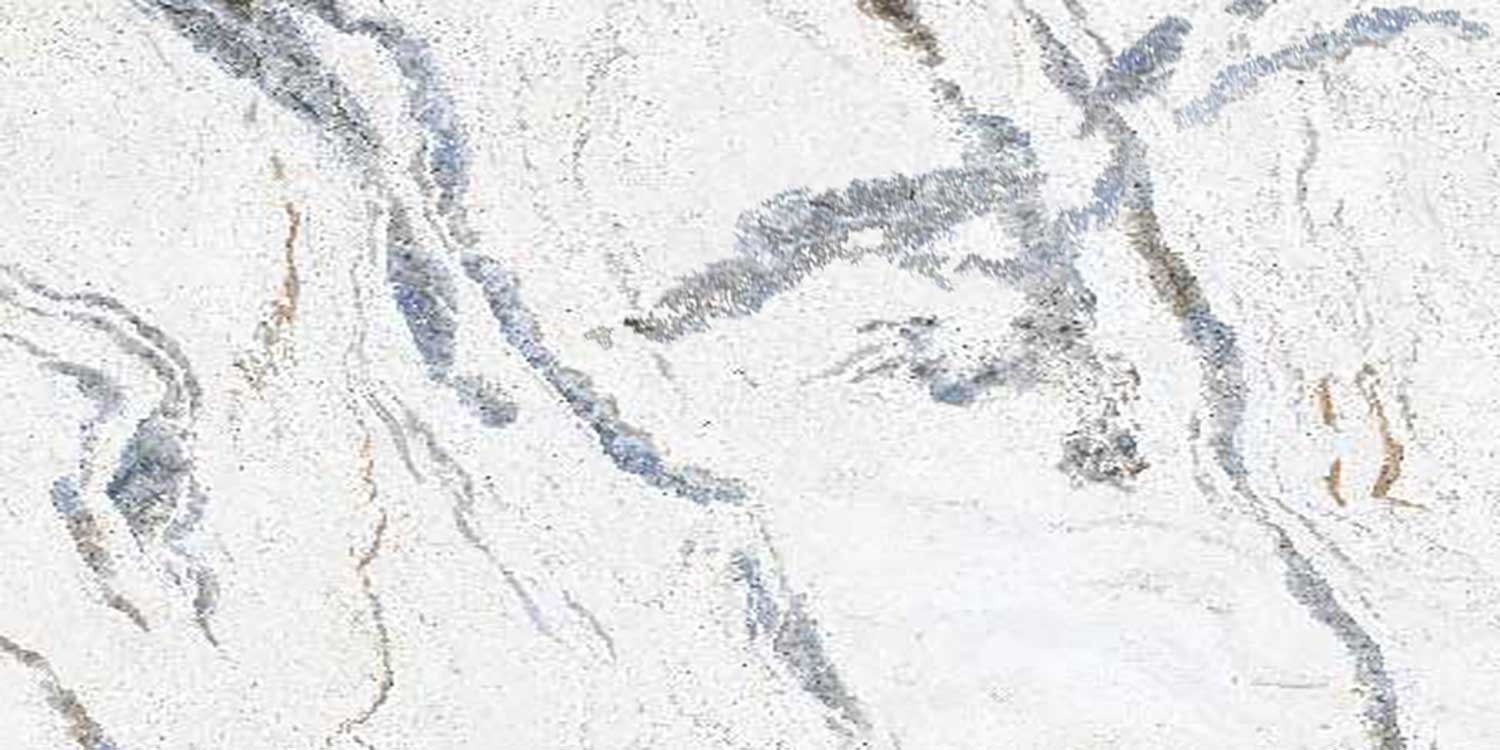 Panda White Marble