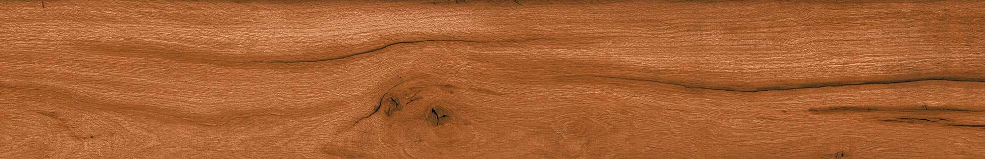 Brier Creek Oak