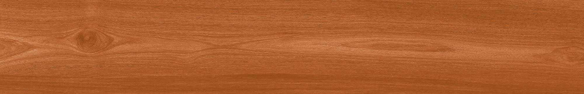 Cherry Beech