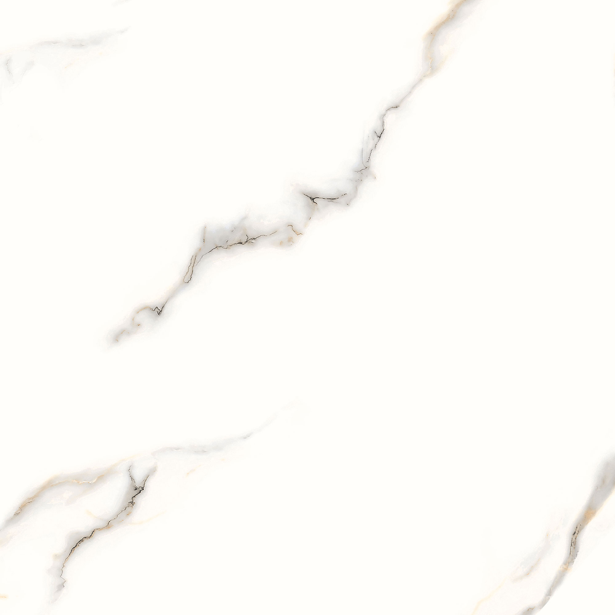 Bruno Marble