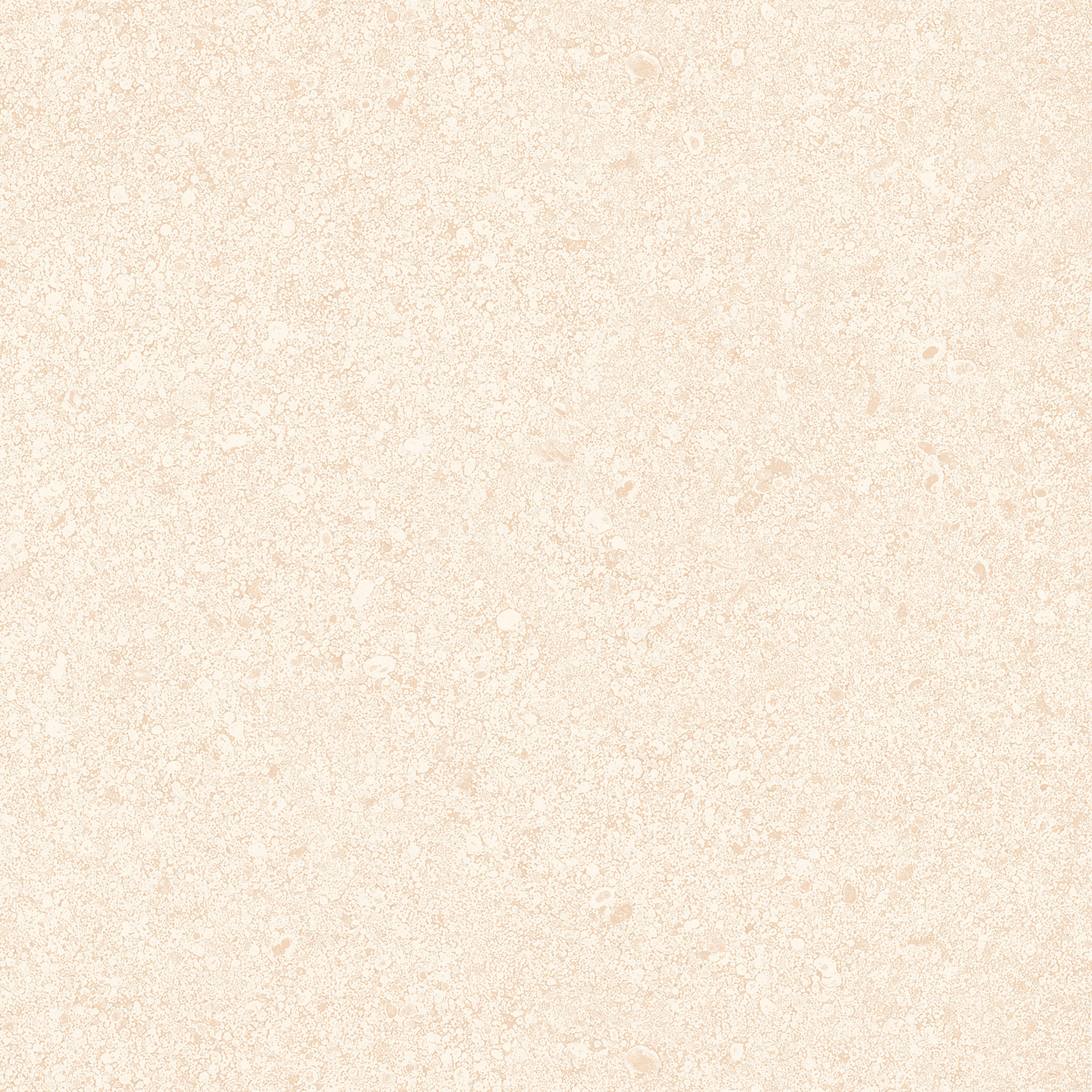 Champagne Stone