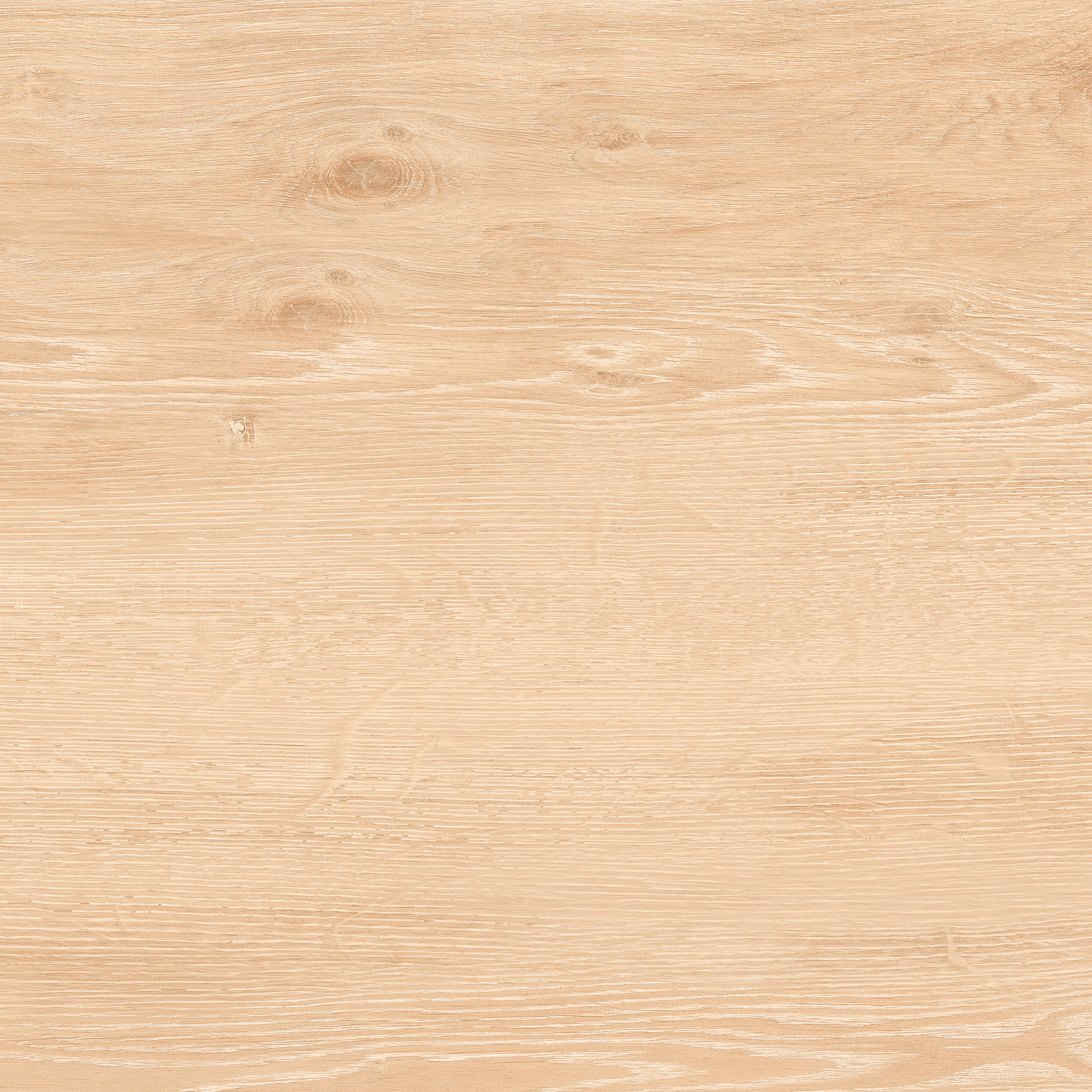 Goldcost Pine