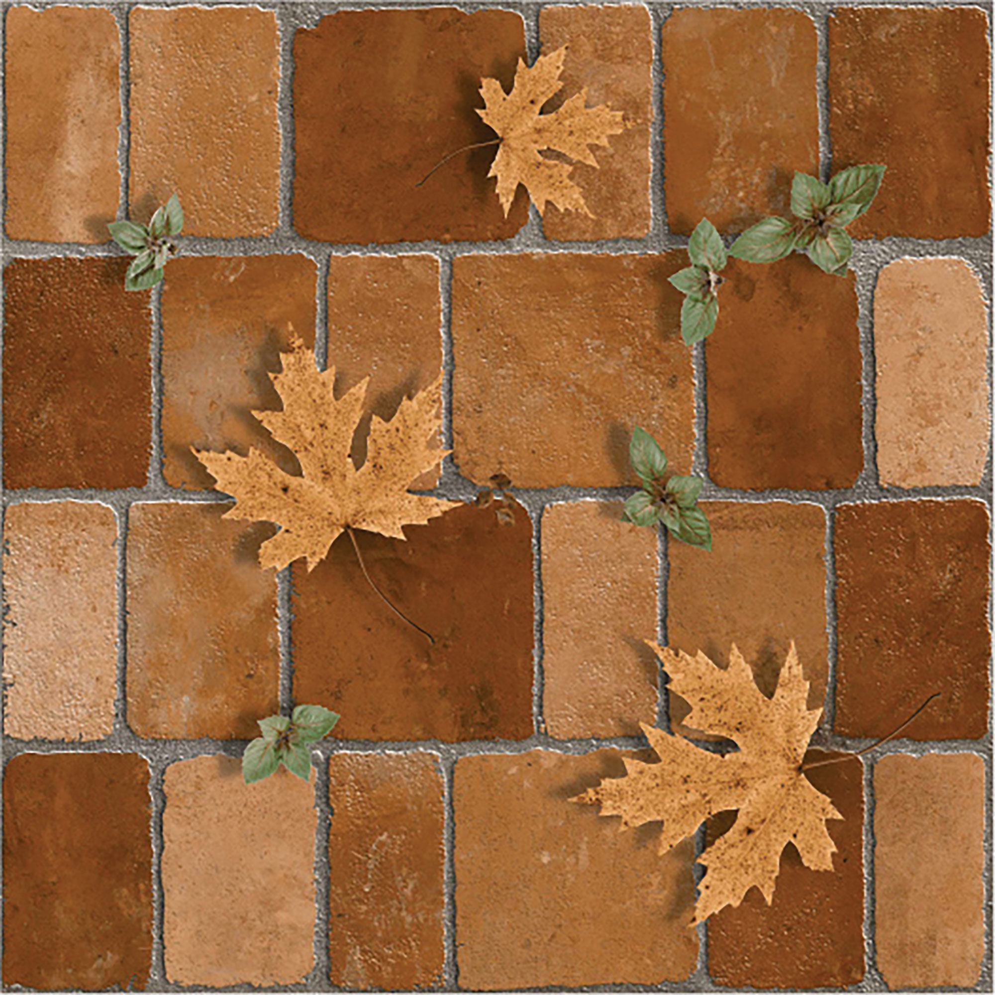 Maple Brown