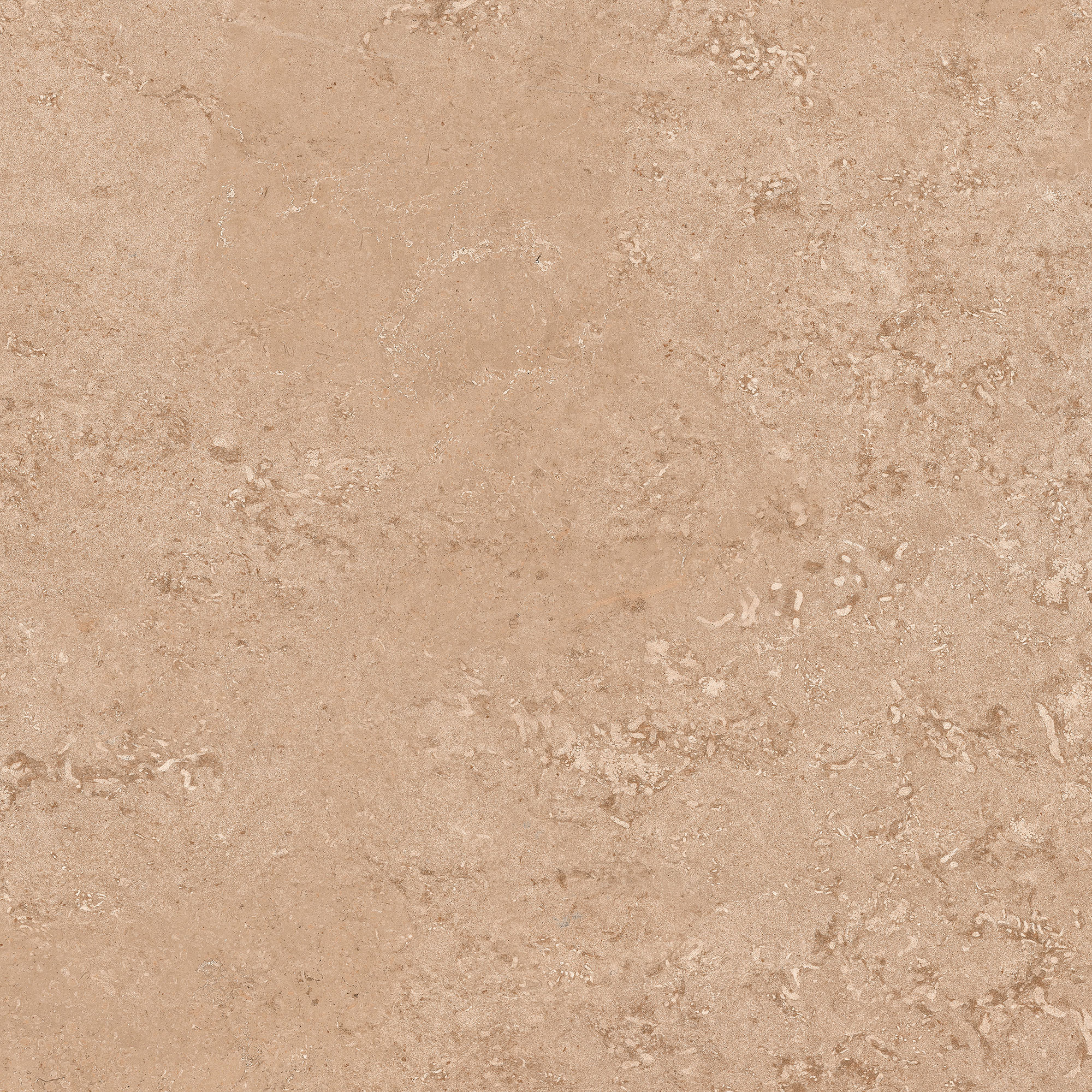Auckland Copper