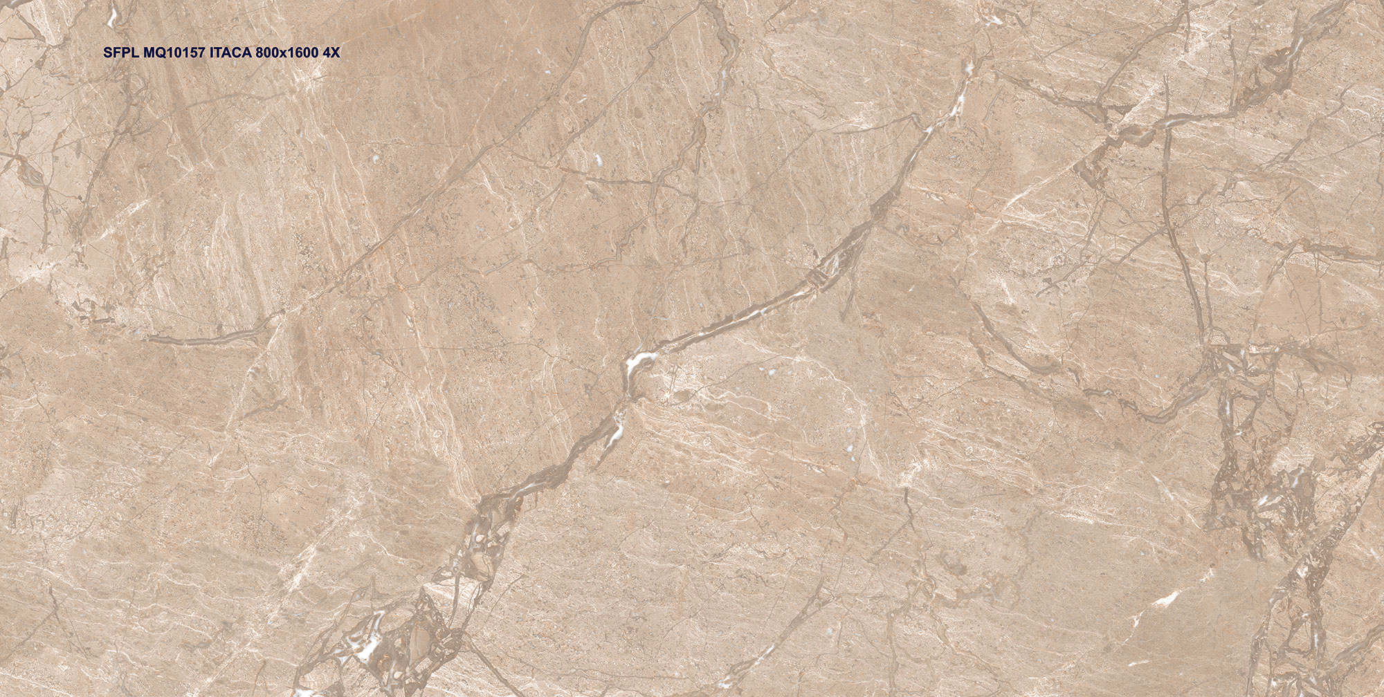 Pulpis Beige