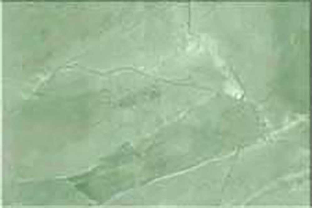 Panama Verde Forte