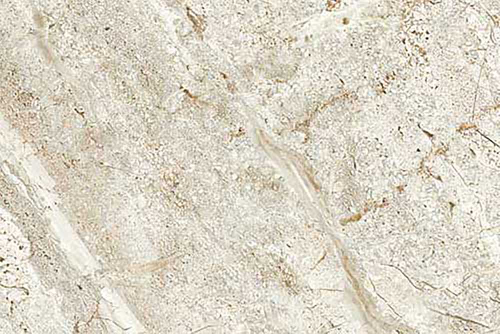 Bolivia Coco