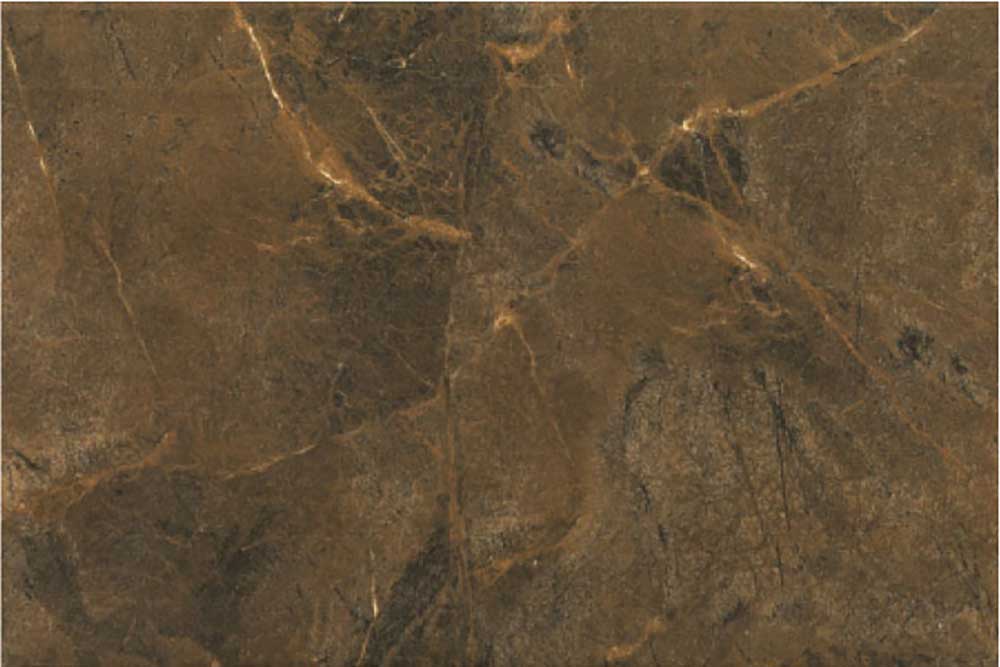 Lyptus Copper