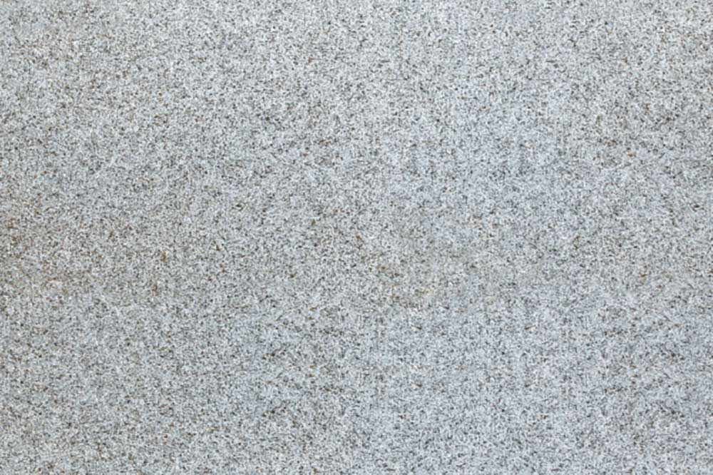 Argenta Gris