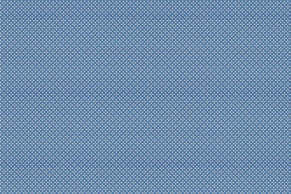 Viola Azul