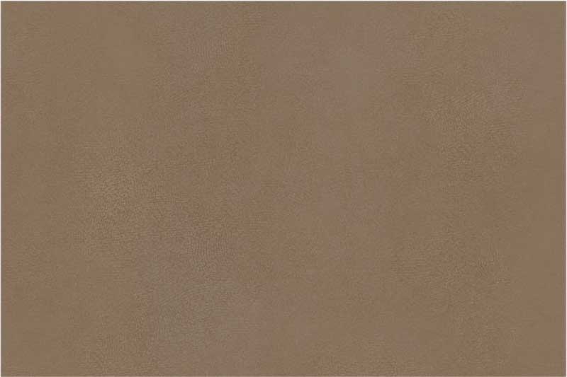 Kyoto Brown