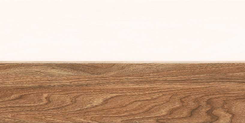 Palmira Plank