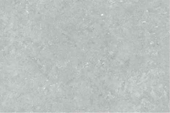 Honey Bee Grey