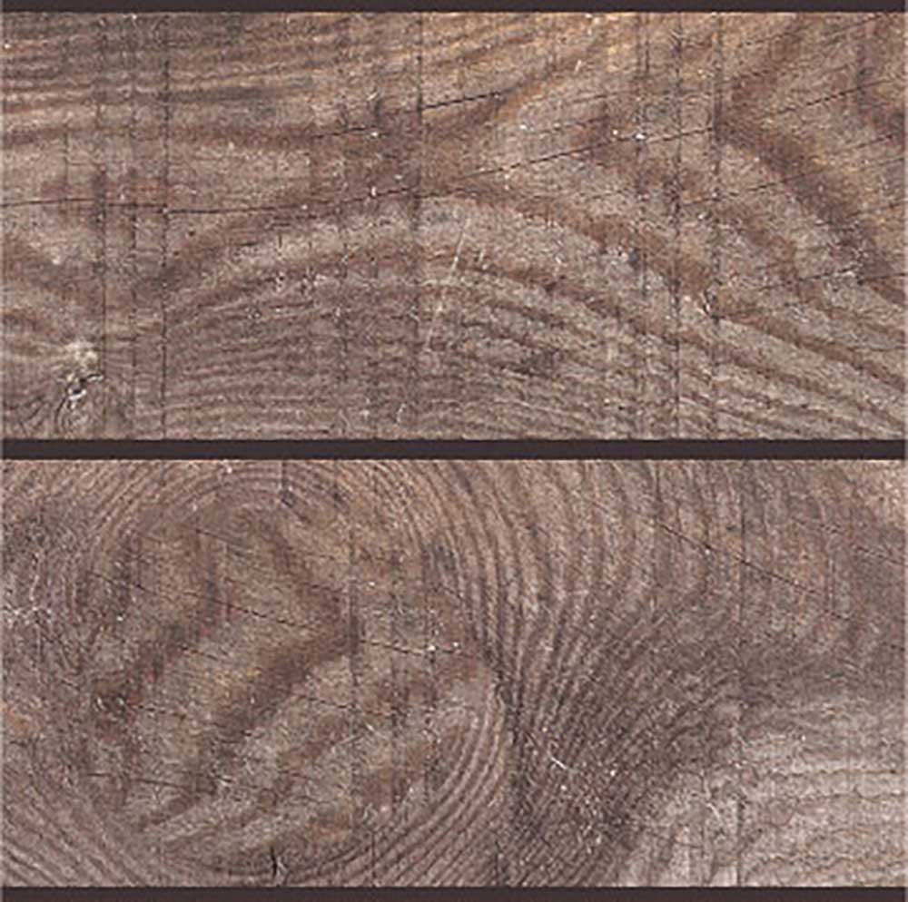 Hevea Bronze