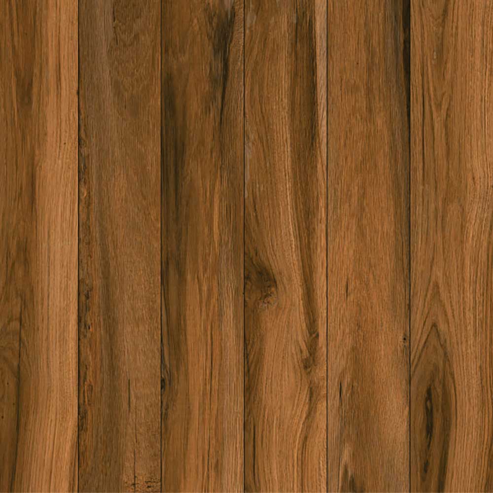 Eastern Walnut