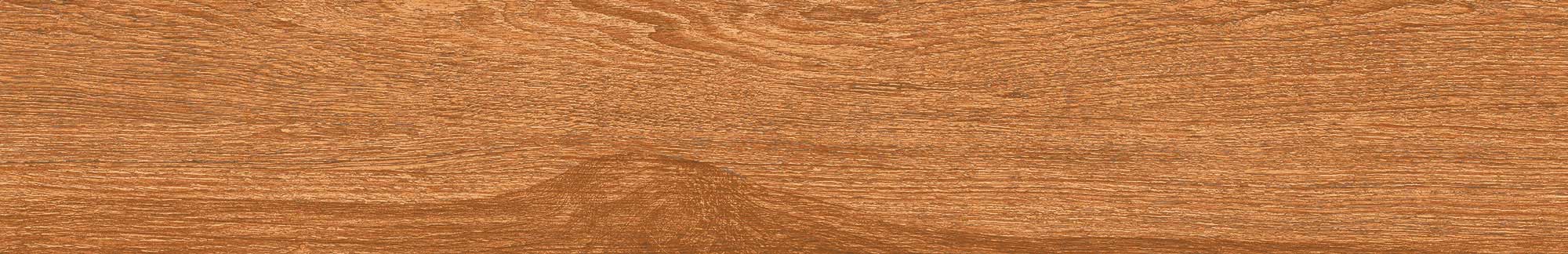 Kaziranga Teak