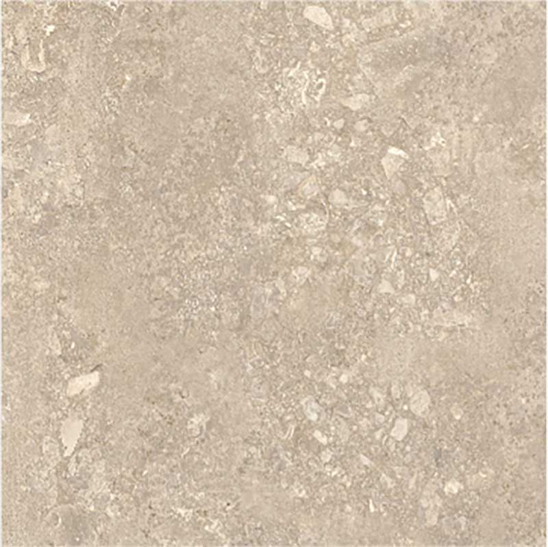 Carolina Beige