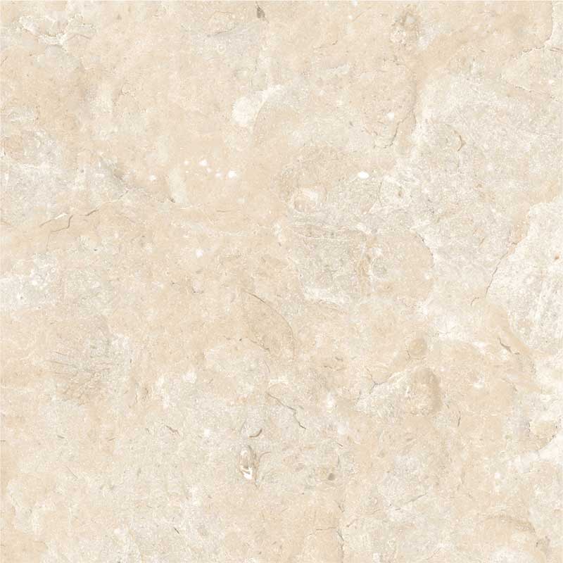 Alpha Beige