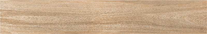 Alpine Maple