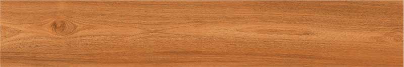 Cherry Beech