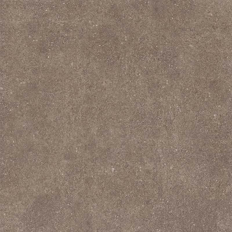 Reno Bronze