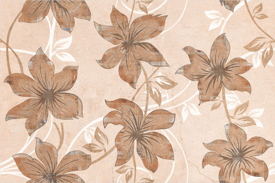 Anapolis Decor