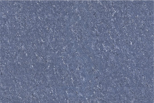 Sylvan Blue Dark