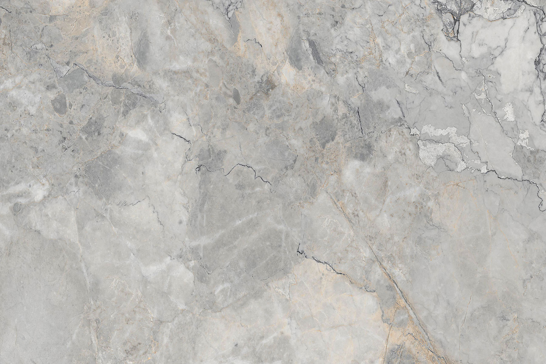 Alcamo Grey