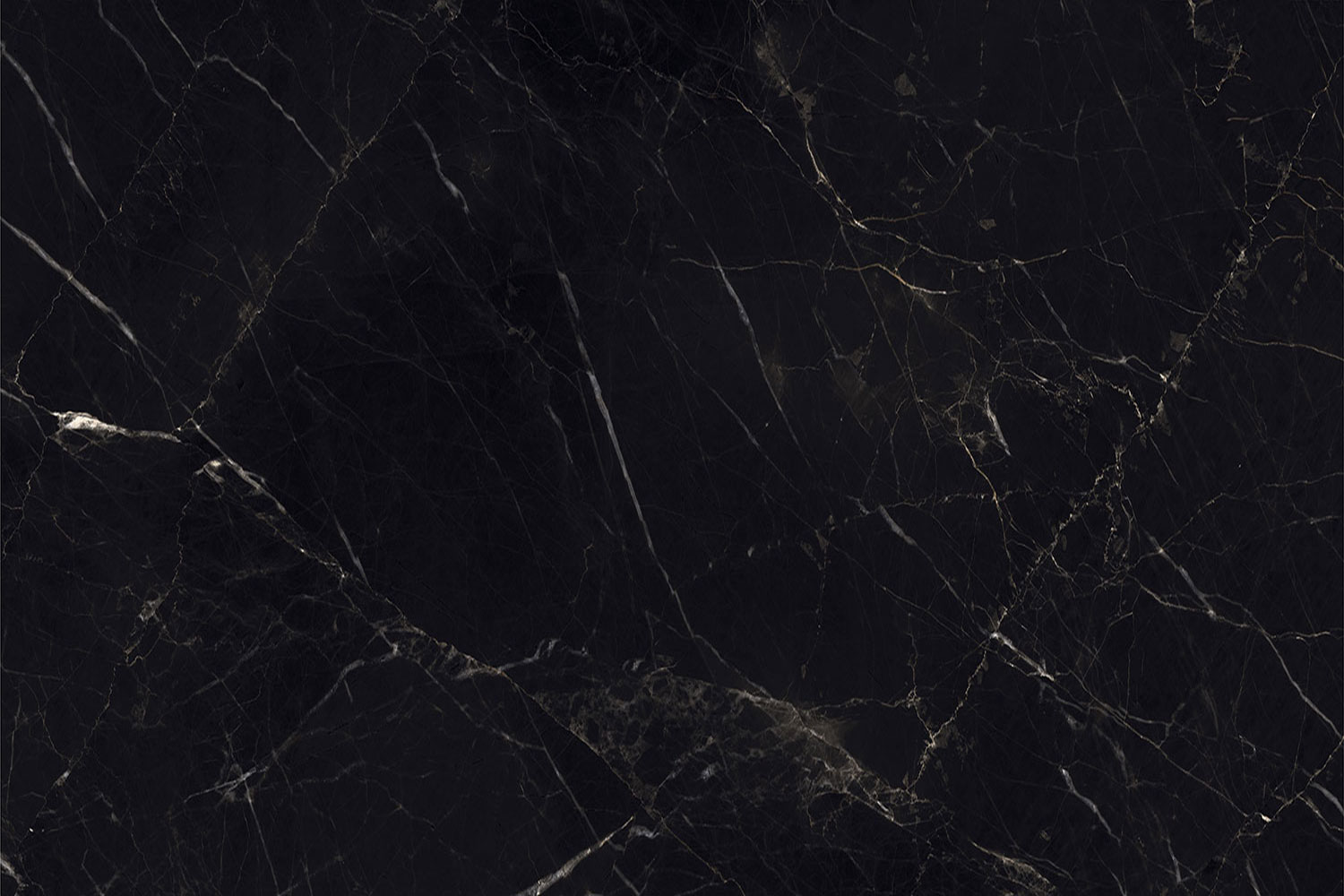 Belgium Black