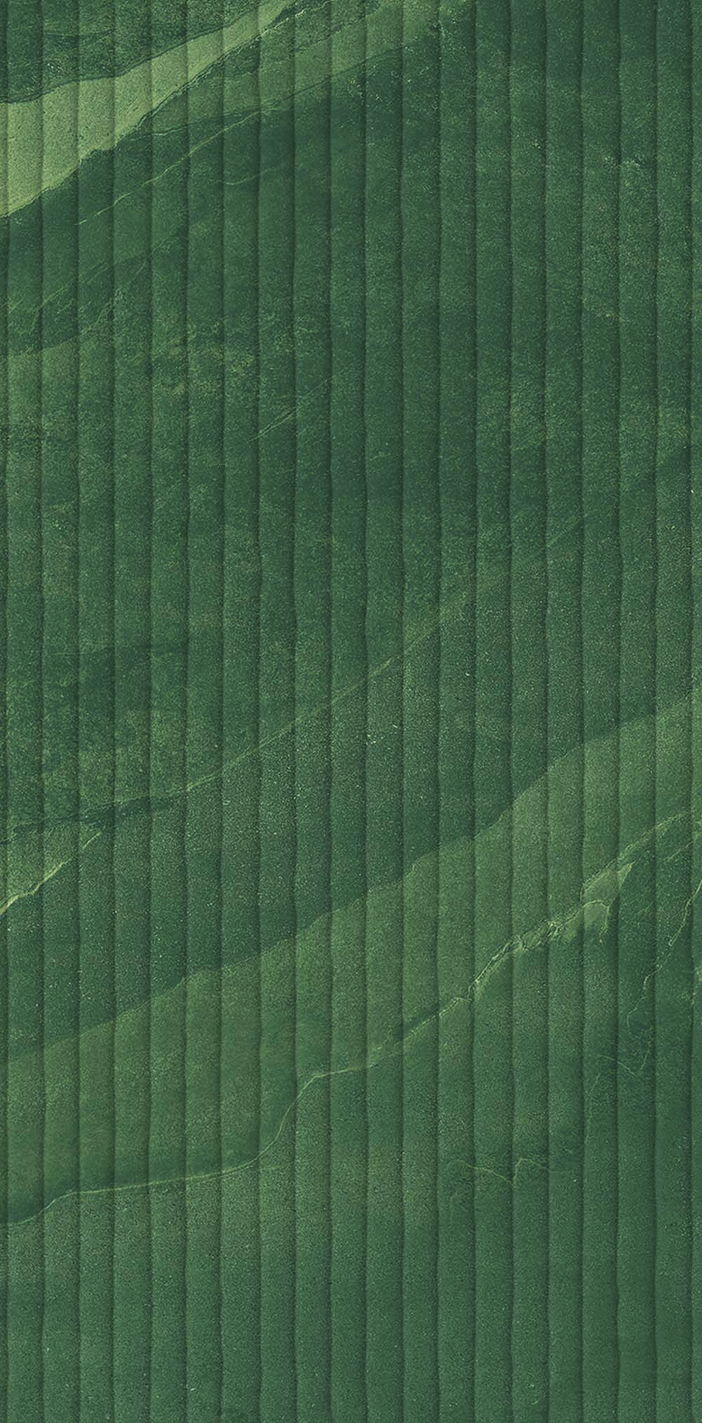 Cardoso Verde Linea