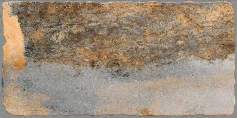 K-IND 3631