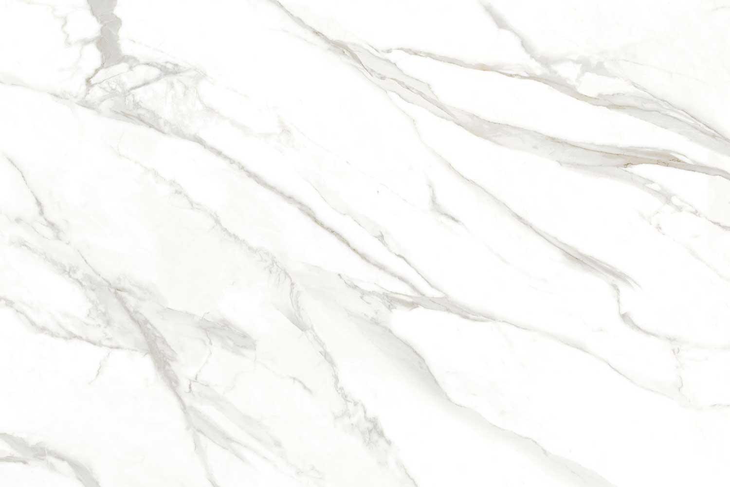 Bianco Di Luca (White Body)