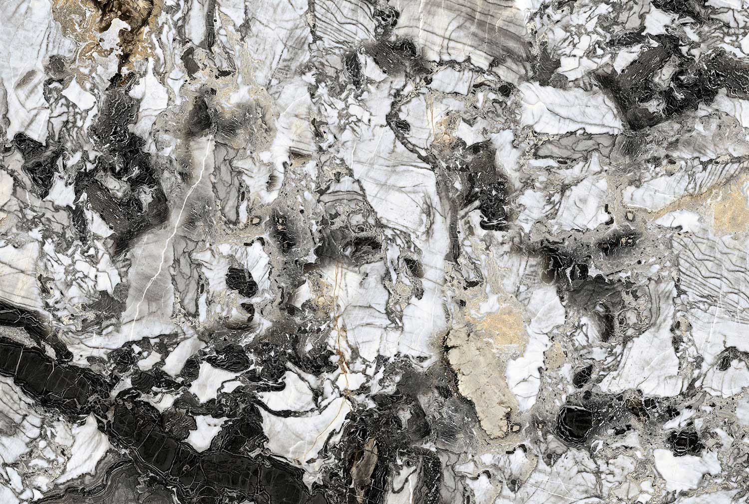 Primavera White (White Body)