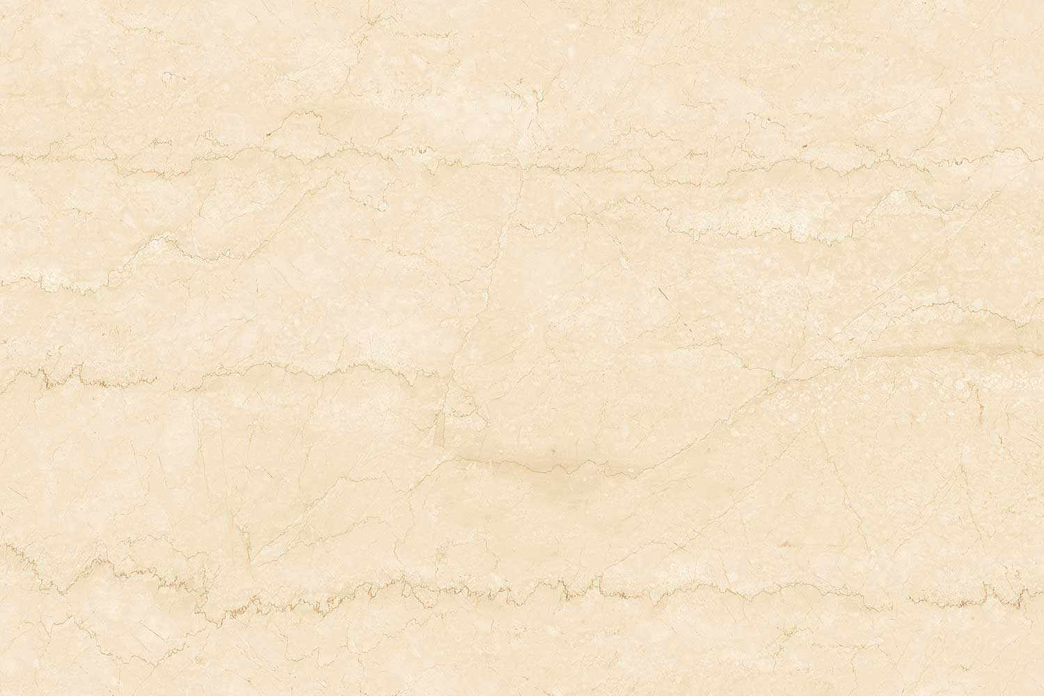 Bottochino Large (Ivory Body)