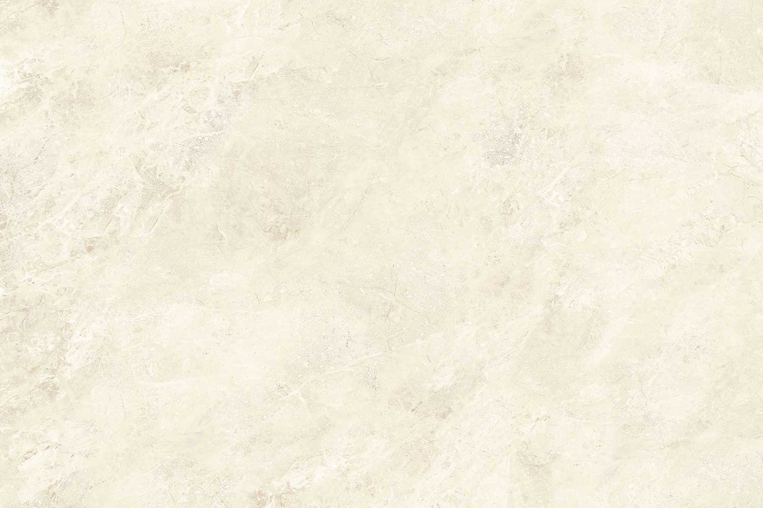 Kashmir Marfil (Ivory Body)