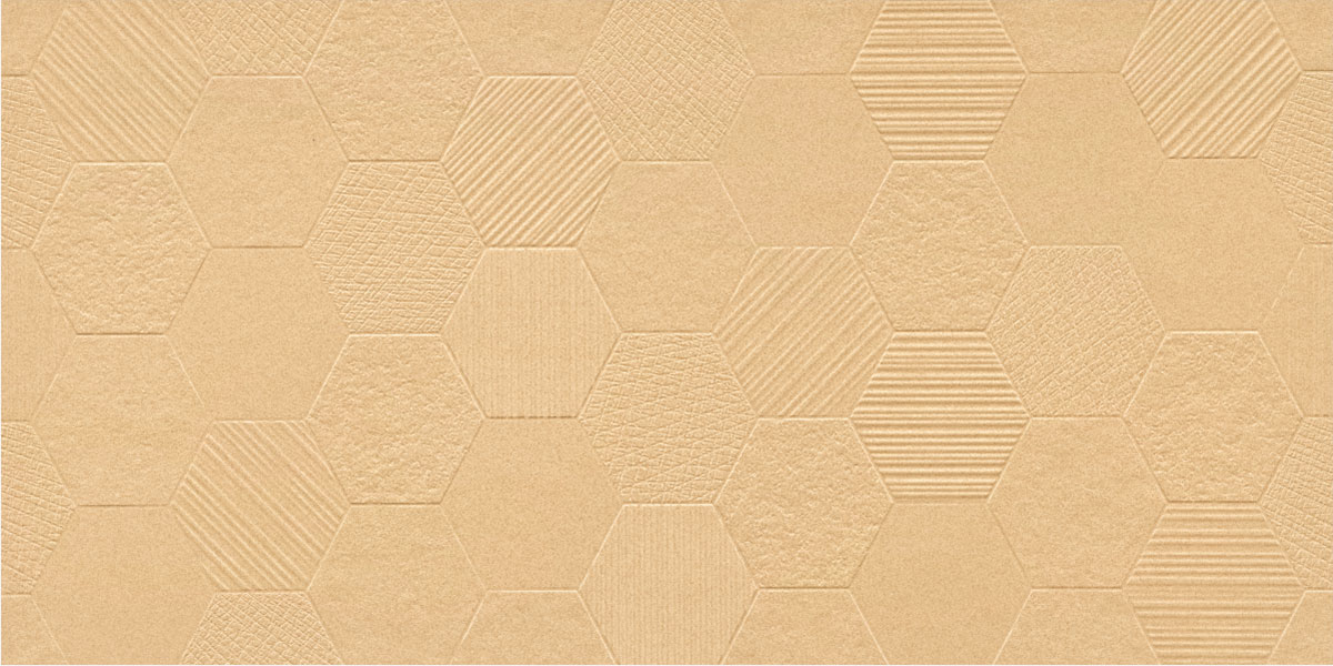 12667 (Jaisalemer) - Hexagon