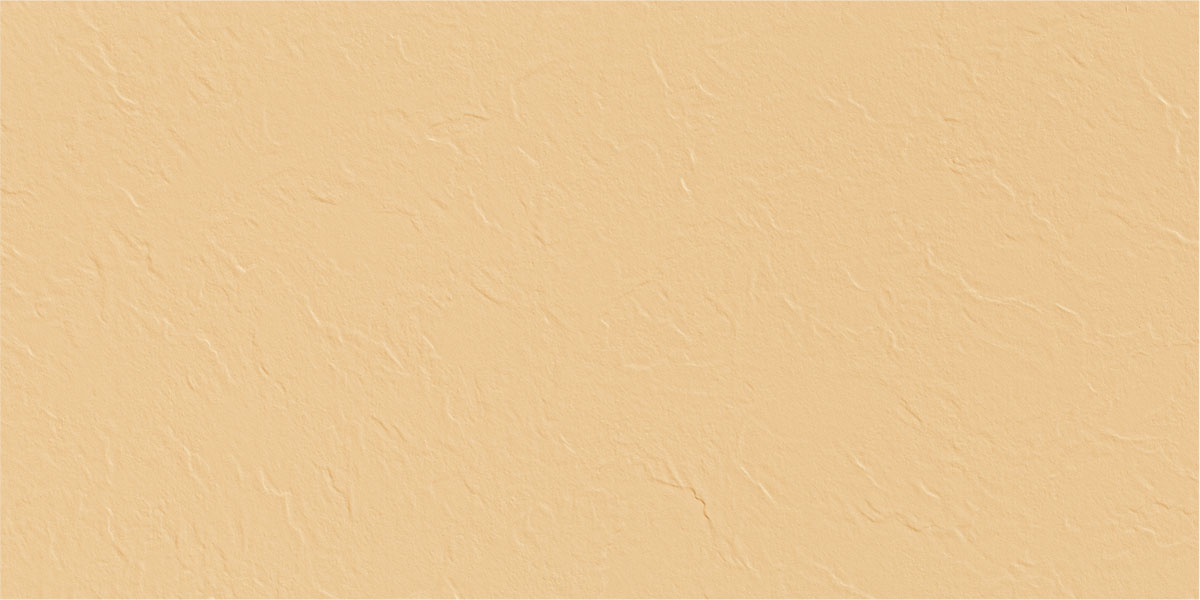 12667 (Jaisalemer) - Slate