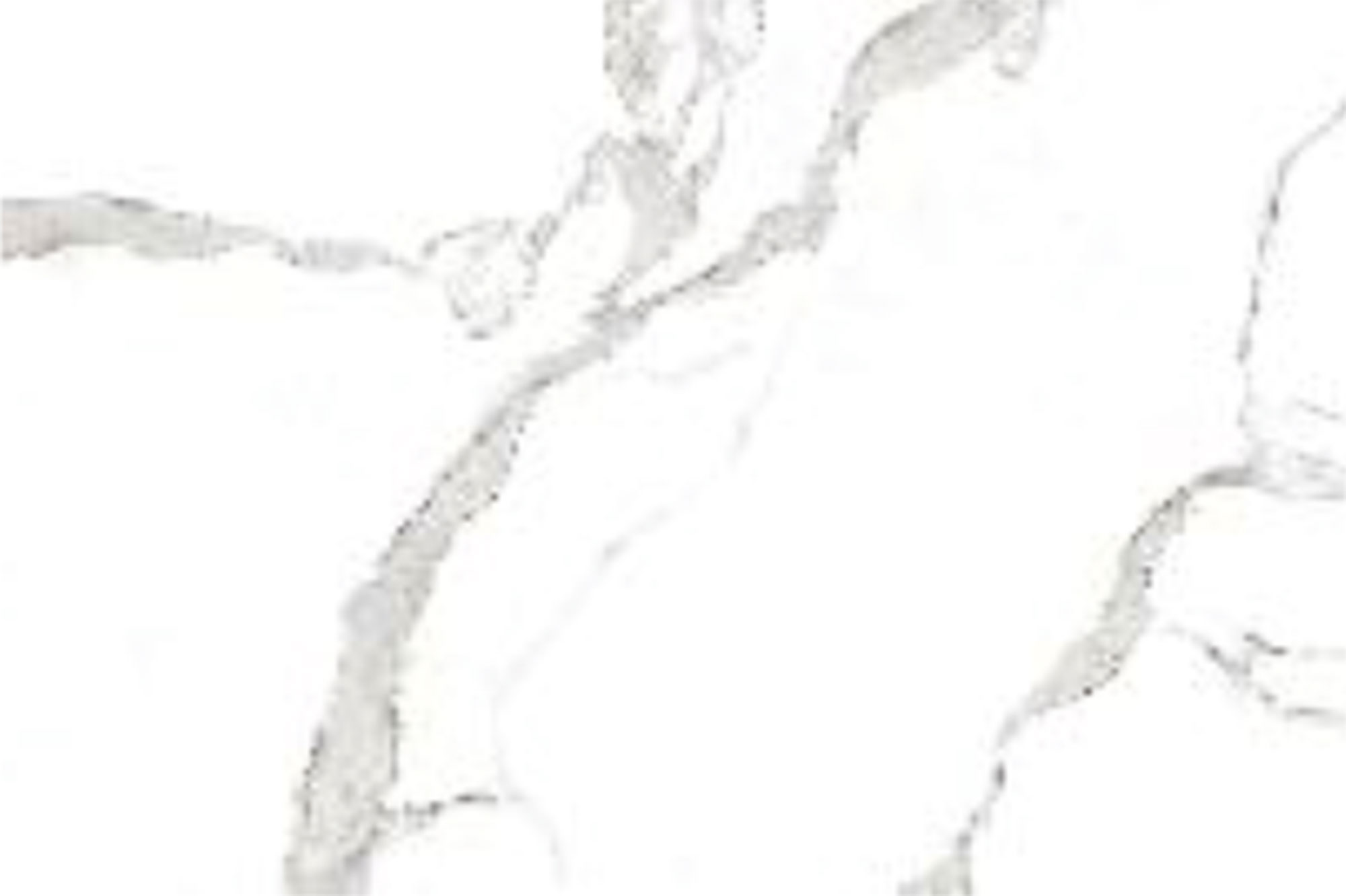 Satuario Spider